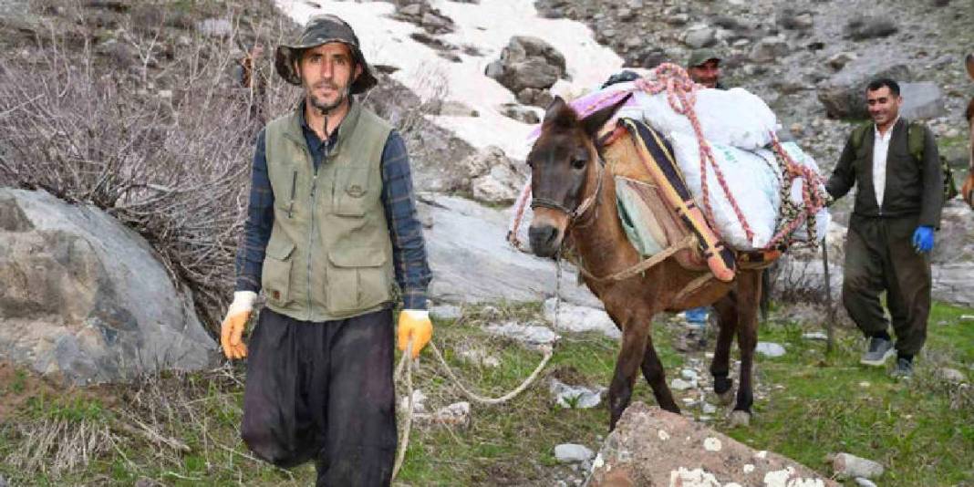 Sabah ezanında katırlara atlayıp yola çıkıyorlar! Dağ bayır gezip tek tek topluyorlar 4